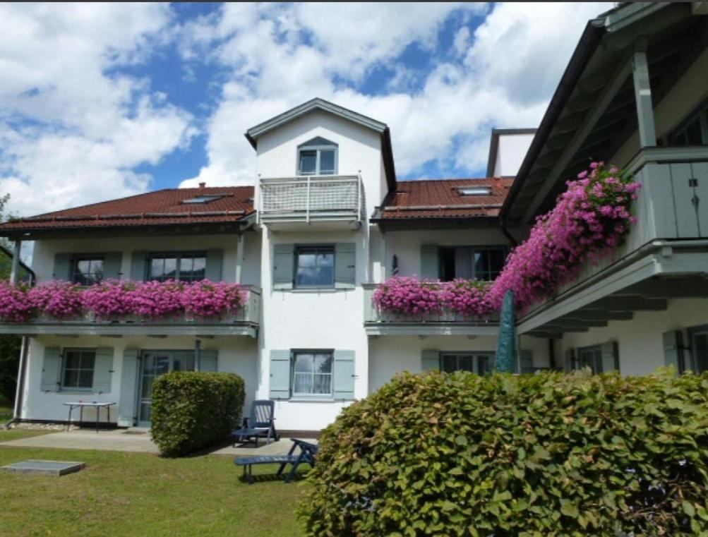 Ferienwohnanlage Bruennstein Wohnung 54 Oberaudorf Extérieur photo